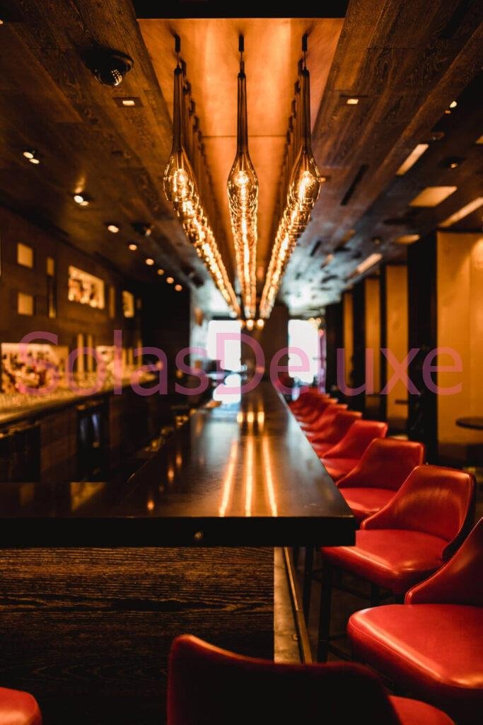 Lugares VIP en Recoleta, Argentina para visitar con escorts